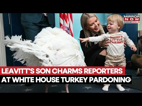 Karoline Leavitt's Son Sweet Charms Reporters At White House Turkery Pardoning | Watch