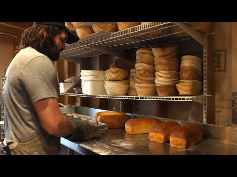 Sourdough Sandwich Bread Full Process from Start to Finish | Proof Bread