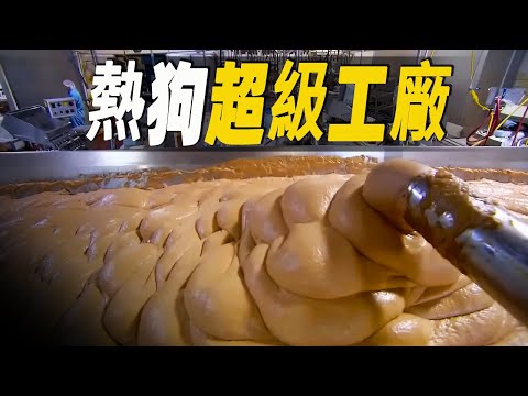 走進熱狗製作超級工廠，每小時生產30萬根熱狗，這種美食為何被稱為熱狗？ #大脑洞记事