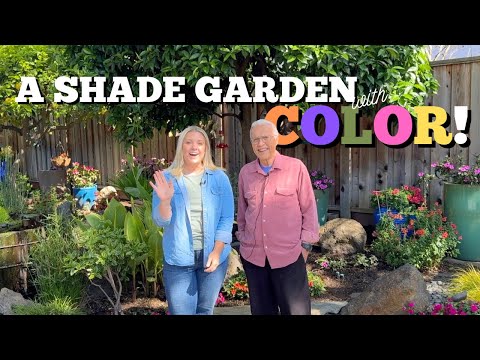 Shade Garden Tour with LOTS of COLOR! 🌸🪻🌼 :: Shade Garden Inspiration :: Dig, Plant, Water, Repeat
