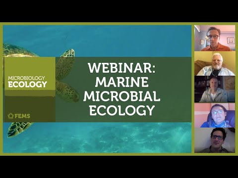 FEMS Microbiology Ecology Webinar on Marine Microbial Ecology