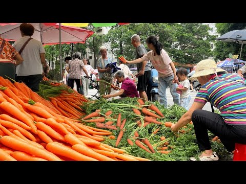 中国南方老城区的传统菜市,热闹的早市,水果蔬菜物价便宜,美食丰富,街坊邻里热情,烟火氣十足,5毛钱一斤的胡萝卜,1块钱一个的节瓜,1块2一斤的丝瓜,豆角1块钱一把。香蕉一块8,水果木瓜5元三个。