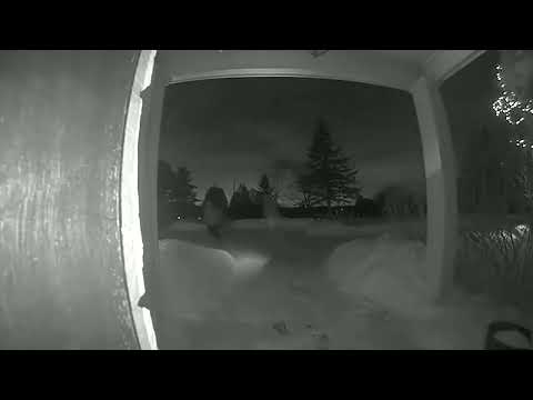 Suspects for Identification Following King Home Invasion