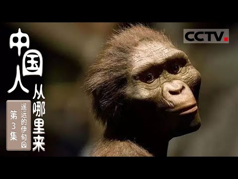 《中国人从哪里来》第3集 人类起源于非洲？现代中国人会是从非洲长途跋涉而来的吗？【CCTV纪录】