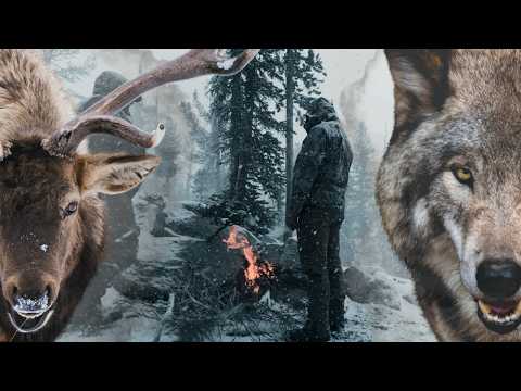 BACKCOUNTRY ELK AND WOLF HUNT | "The Long Way" - 4k Hunting Film