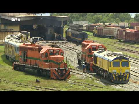 Durch Dschungel und Savanne – Mit der Transgabonais über den Äquator