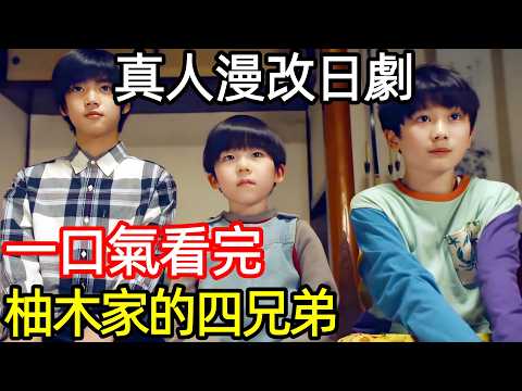 最新治癒真人漫改日劇，渣男出軌女警離婚，三個弟控哥哥一個聖人弟弟，一口氣看完【柚木家的四兄弟】1~32全集完整版，日本電視劇解說