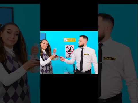 Goldfish aren't allowed aboard an airplane