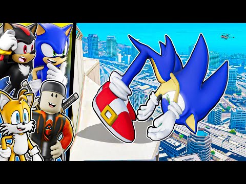 Team Sonic VS Insane Ragdoll FAILS!!