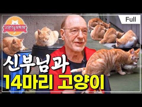 [Full] Please Take Care of My Cat - The Priest and 14 Cats