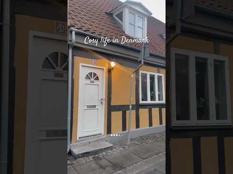 Slow holidays in Scandinavia ☃️ #minidailyvlog #dailylifevlogs #scandinavia