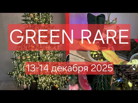 Green Rare 13-14 декабря 2025