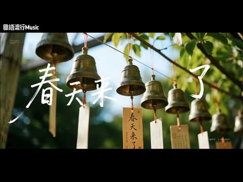 2025最好聽華語歌單【夜風輕輕】讀書・工作・放鬆最佳背景音樂 |民歌風格原創抒情歌🎧｜純淨舒緩系音樂 ✨ 🎧 #讀書音樂｜#工作音樂｜#輕音樂｜#療愈音樂｜#華語金曲 #華語流行歌曲