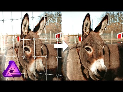 Remove A Fence In 4 Simple Steps In Affinity Photo – Photo Manipulation Tutorial