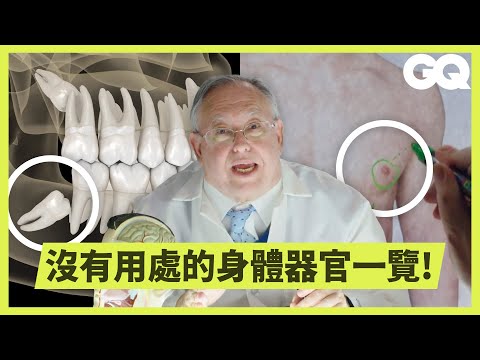 人為什麼要有智齒、闌尾？生物學教授解釋從頭到腳各種「無用處」人體器官｜科普長知識｜GQ Taiwan