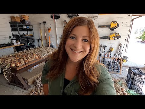 HUGE Harvest of Onions & a Few Other Veggies! 🧅🌶🌽 // Garden Answer