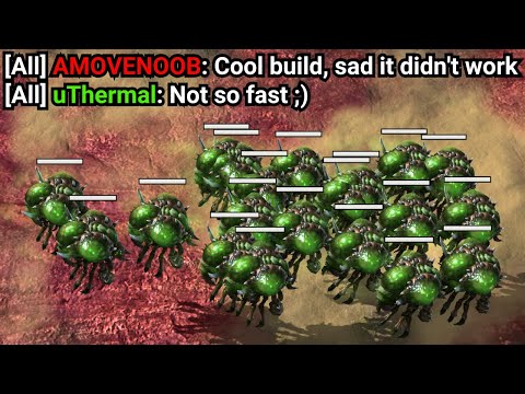 Zerg Doom Drops Are Actually Amazing... (Please Try This)