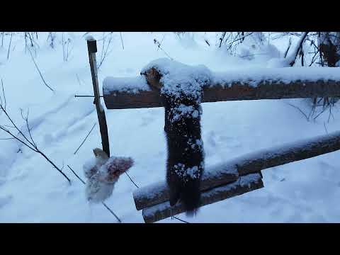 Сахалинская ловушка в деле 8 января 2022