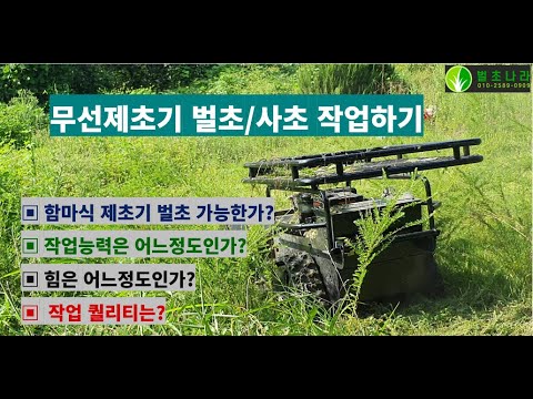 무선제초기로 벌초하기 벌초나라 벌초대행