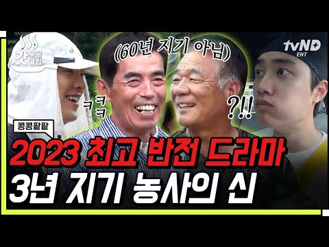 [#콩콩팥팥] 30년지기가 아니라 3년지기요⁉ 매번 텐션이 달라지시는 귀여운 지킬 앤 하이드 아버님🤣ㅋㅋㅋ 보기만 해도 따수운 됴리사 손맛 가득 말복 파티까지🍽 | #갓구운클립