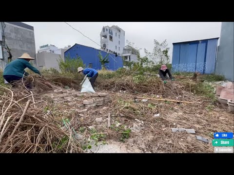 From a Wrecked, Overgrown Sidewalk to a Stunning Transformation—Join Our Cleanup #cleanup #cleaning