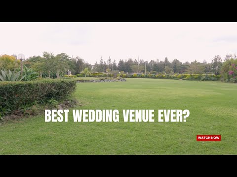Is This The Best Wedding Venue Ever?
