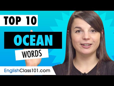 Learn 10 Ocean-related Words in English