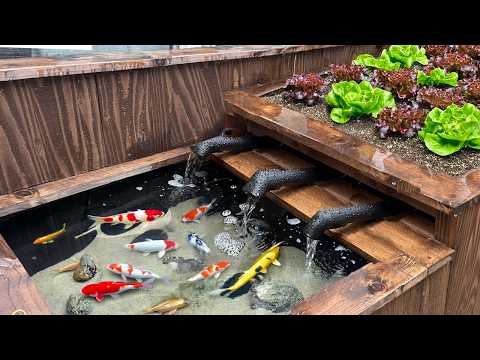 I Built an Infinite Food Farm