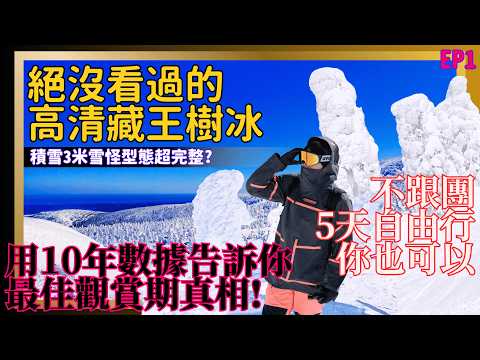 終於看到萬里無雲藏王樹冰！積雪三米雪怪搭配海景奇景現場曝光｜纜車排隊坑別再跳＋自由行交通住宿美食看本攻略一次弄懂