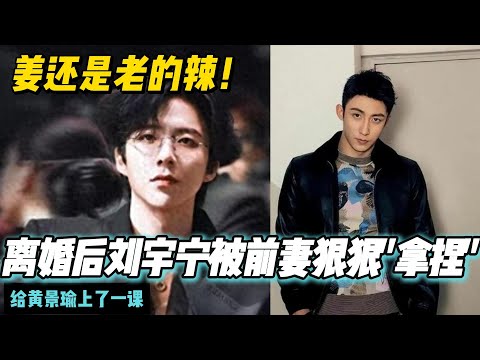 姜还是老的辣，离婚后刘宇宁被前妻狠狠"拿捏"，给黄景瑜上了一课