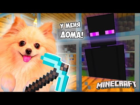 ЭНДЕРМЕН У МЕНЯ ДОМА! ПОСАДИЛА ЕГО В АКВАРИУМ В МАЙНКРАФТ ! MINECRAFT