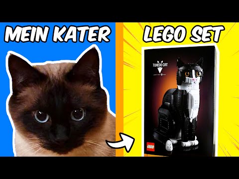 How my CAT became a WORLDWIDE LEGO set...