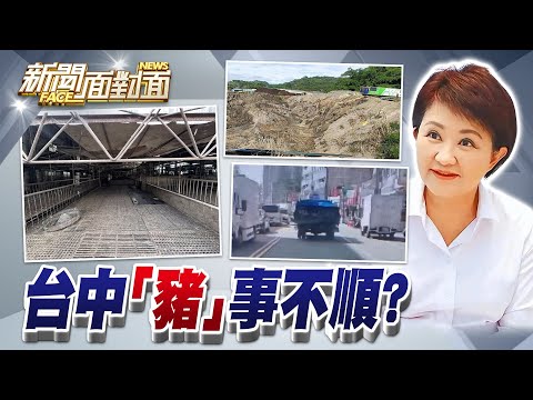 《「豬」事不順？盧秀燕團隊的危機管理要補考？》【2025.11.01『新聞面對面』週末精選】