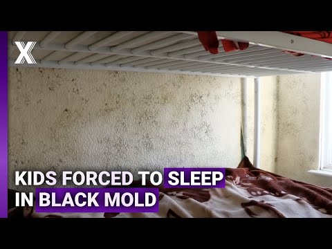 Family Trapped in Mould-Infested Bedroom