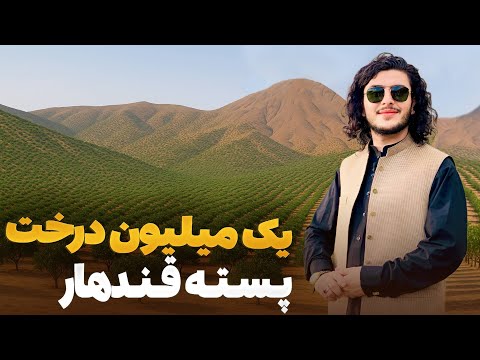 هی میدان طی میدان - کاشت یک میلیون درخت پسته در سراسر کشور