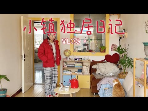 一天三份工，自由职业，东北小镇3万买顶楼，冬日独居生活