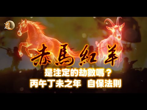 赤馬紅羊之年即將來臨 是注定的劫數嗎 有何自保法則〡觀天之道〡道通天地