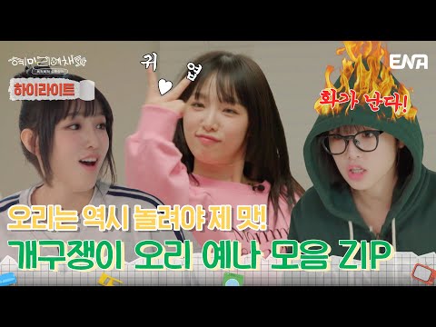 [하이라이트] 때로는 귀엽고! 때로는 뻔뻔한! 개구쟁이 오리 예나🐥 | 혜미리예채파 | ENA 채널 | 매주 일요일 저녁 7시 50분