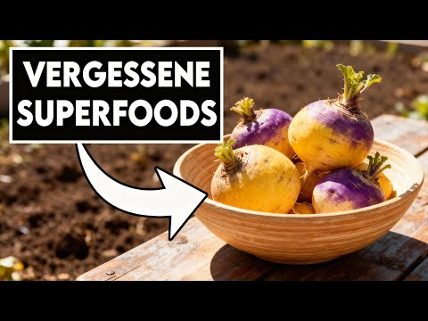 20 vergessene Pflanzen, mit denen arme Familien die Große Depression überlebten