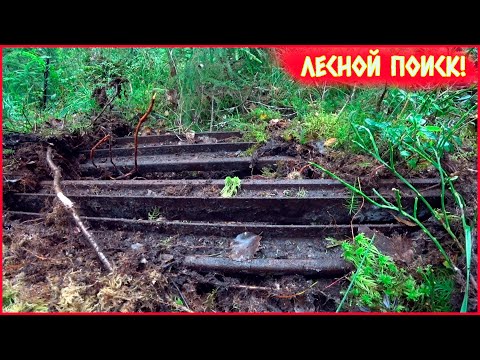 НАШЛИ ТУПИК УЖД С ПАЧКАМИ РЕЛЬС!!! НАМ ОПЯТЬ ПОВЕЗЛО!!!