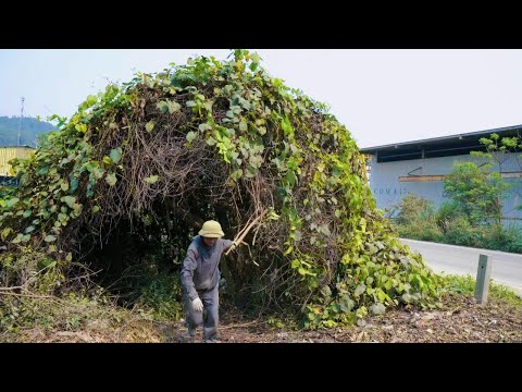 Pedestrians Stunned as 10-Year-Abandoned Sidewalk is Suddenly Cleared - Clean up 1991