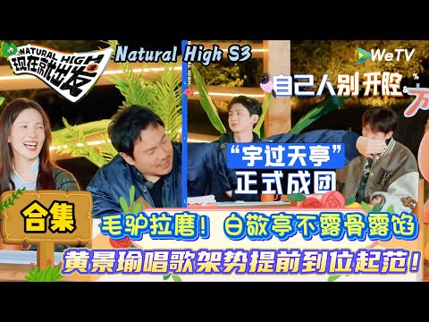 【现在就出发 第3季】EP3游戏合集下：上大分！王安宇白敬亭开团秒跟丝滑开唱！| Natural High S3#现在就出发3#综艺#沈腾#范丞丞#王安宇#贾冰#黄景瑜#金晨#白敬亭