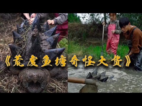【南豐兄弟捕魚VLOG】爺爺家荒廢魚塘出現奇怪大貨，找人來幫忙，沒想到它...