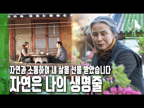 “잡초는 없어요. 사방팔방에 다 약이 늘어져 있어요” 자연의 음식은 약이 된다는 사실! 산야초 전도사의 철학 | 자연의 철학자들 54부 산과 들의 선물 (KBS 230428 방송)