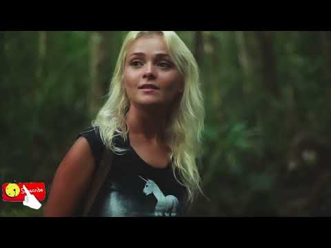 🌿 Amazon Rainforest – The Lungs of the Earth & a Natural Wonder Under Threat