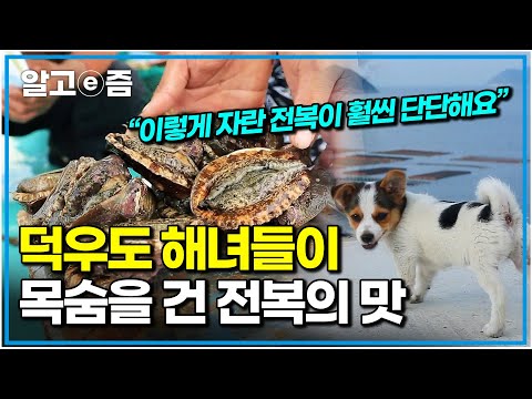 "섬 속의 섬" 덕우도 주민들을 살게 하는 귀한 보물, 전복! 남다른 육질의 전복 채취를 위해 오늘도 미지의 바다에 몸 던지는 해녀들의 눈부신 일상｜한국기행｜알고e즘