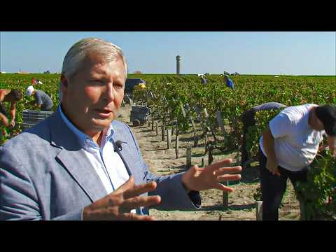 Château Margaux and Mouton Rothschild, the Greatest Wines of Bordeaux