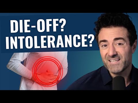 Die Off Reactions - How to BEST Navigate a Herxheimer Reaction