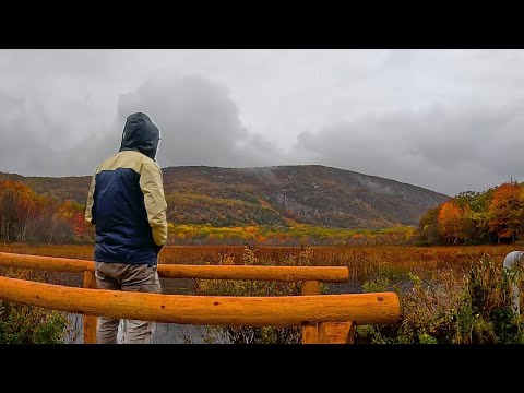 Alone on the Road. Vanlife In Bar Harbor, Maine | Cooking Whole Lobster