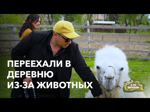 Почему горожане переезжают в деревню? «Я из деревни». Усадьба в д. Чепели